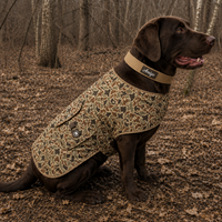 Signature Camigo Camo Dog Jacket
