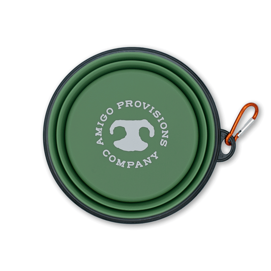 Collapsible Dog Bowl