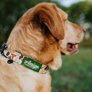 Longhorn Camo - Performance Nylon Dog Collar